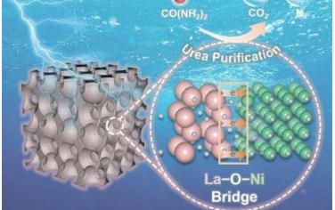蘭州大學&中科院深圳先進技術研究院Angew：La-O-Ni橋增強電催化尿素氧化