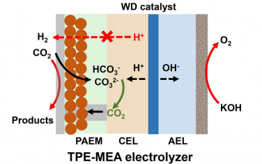 蘇州大學Angew：三層聚合物膜促進堿性電催化CO2制備C2H4