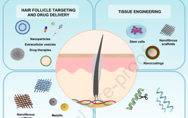 Biomaterials綜述：基于納米技術的毛囊再生技術