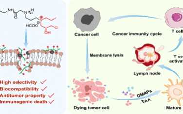 Nano Lett：聚锍可作為生物活性聚合物誘導免疫原性細胞死亡以用于抗癌治療