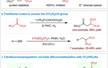 Nature Commun：使用CF2HSO2Na進行烯烴四氟異丙基化