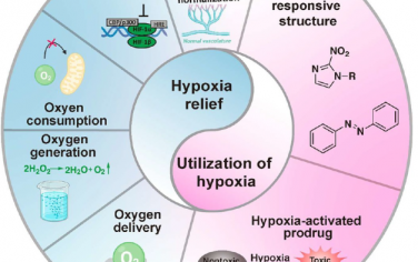 ACS Nano綜述：征服和利用腫瘤乏氧環(huán)境的納米醫(yī)學(xué)策略