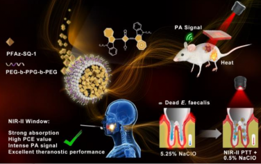Angew：利用融合的Azulenyl方酸衍生物將激發態能量集中于非輻射衰變途徑以改善NIR-II光學診療