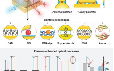 Adv Mater綜述：Plasmonic納米間隙的光-物質強相互作用