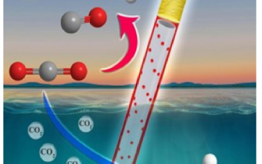 Adv Mater：水影響單原子Fe-TiO2/SrTiO3光催化CO2還原產(chǎn)物在CH3OH和CO/CH4之間變化