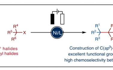 Nature Catalysis：Ni電催化烷基鹵化物的C(sp3)-(sp3)偶聯
