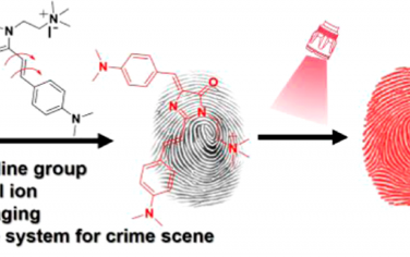 JACS：從頭合成的綠色熒光蛋白發(fā)色團基探針可通過便攜式系統(tǒng)捕獲潛在指紋