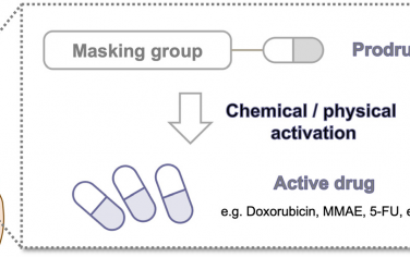 Chem. Soc. Rev：用于體內前藥活化的生物正交化學