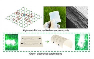 ACS Nano：用于綠色電子產品的高負載六方氮化硼藻類衍生珍珠層狀介電生物納米復合材料