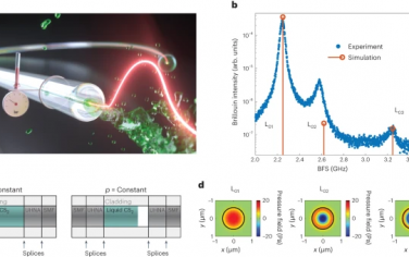 Nature Physics：通過受激布里淵–Mandelstam散射實現納升體積的極端熱力學