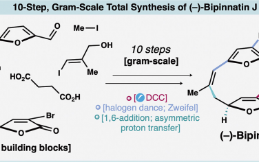 Scripps研究所Baran JACS：10步克級合成二萜化合物