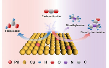湖南大學Chem：胺和CO2的C-N偶聯合成甲酰胺
