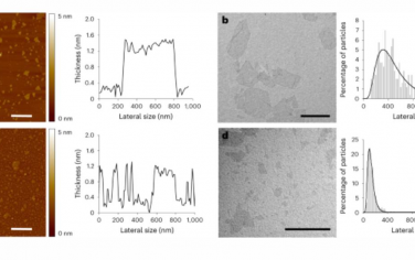Nature Nanotechnology：首次在人類(lèi)控制下吸入薄氧化石墨烯納米片來(lái)研究急性心肺反應(yīng)