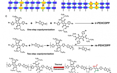 Science Advances：原位連續(xù)氫鍵工程用于本質(zhì)上可拉伸和可修復的高遷移率聚合物半導體
