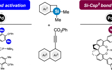 JACS：配體調控炔烴和硅雜環丁烷擴環制備六元環烯烴