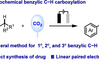 南開大學JACS：電催化芐基C-H鍵羧基化