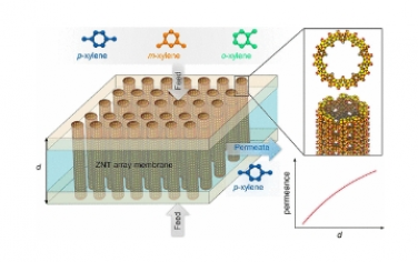 JACS：使用沸石納米管陣列膜極快地分離二甲苯異構體