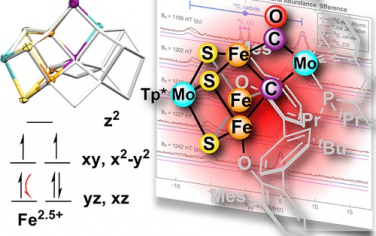 JACS：一種含有橋連碳配體的固氮酶類似物