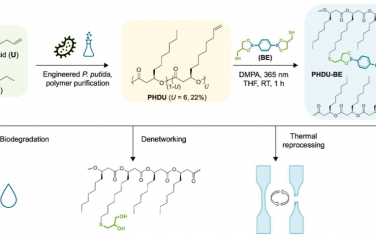 Science Advances：由設計者聚羥基脂肪酸酯制成的彈性體 vitrimer，具有可回收性和生物降解性
