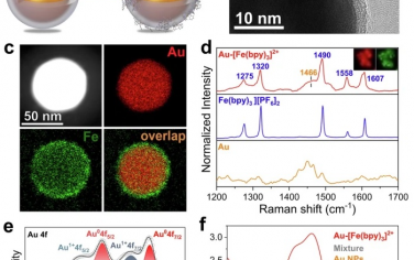 蘇州大學(xué)Nature Commun：天線-反應(yīng)器型plasmonic光催化劑中的plasmon增強機理