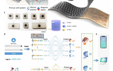 Science Advamces：用于打字期間自供電身份認證的靈活壓力傳感器陣列