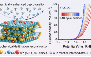 南京航空航天大學(xué)JACS：通過(guò)脫鋰結(jié)構(gòu)重構(gòu)增強(qiáng)酸性O(shè)ER的動(dòng)態(tài)脫質(zhì)子