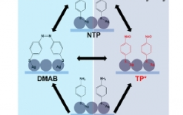 JACS：等離激元催化硫代硫酸鹽的機理及反應條件的影響