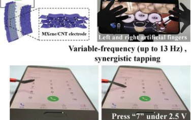 AFM：用于仿生軟機器人應用的高性能 MXene/碳納米管電化學致動器