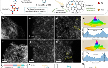 四川大學(xué)&南開大學(xué)Nature Commun：相鄰Fe-N4的協(xié)同作用改善Fenton處理污水