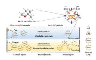 JACS：具有保護性封裝溶劑化結構的超輕電解質可實現超過 660 Wh/kg 的混合硫基一次電池