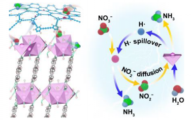 Angew：Ni-MOF/Cu-石墨炔協同電催化還原硝酸鹽制氨