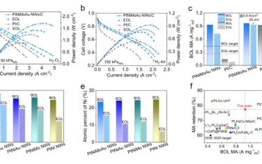 湖南大學Nature Commun：MoAu雙摻雜增強PtNi的ORR性能