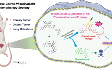 Biomaterials：生物正交策略觸發的原位共激活AIE光敏劑和化療前藥以促進化學-光動力-免疫協同治療