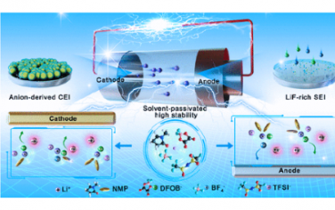 JACS：長循環固態鋰金屬電池中游離殘留溶劑的離子偶極相互作用誘導封裝