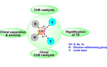 Chem. Soc. Rev.：硫鍵催化