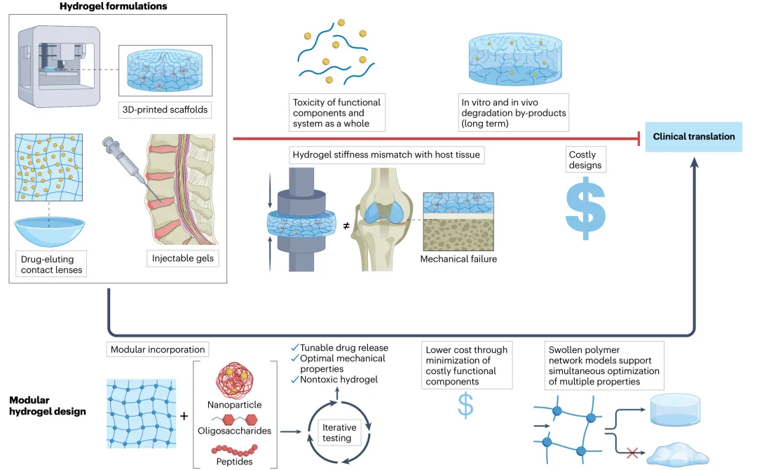 Nature Reviews Bioengineering：模塊化水凝膠設計