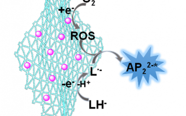 JACS：石墨炔基底擔載Pd增強電致熒光