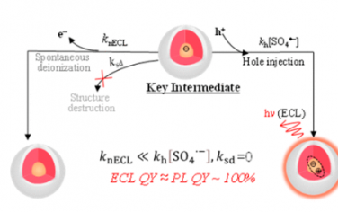 JACS：揭示量子點高效穩定電化學發光的機制