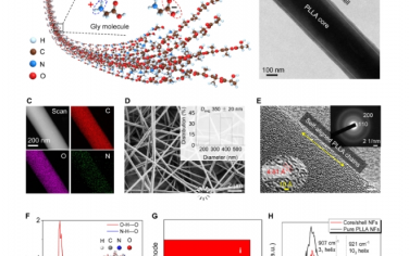 Science Advances：超穩定壓電生物材料納米纖維和織物作為植入式和保形機電傳感器貼片