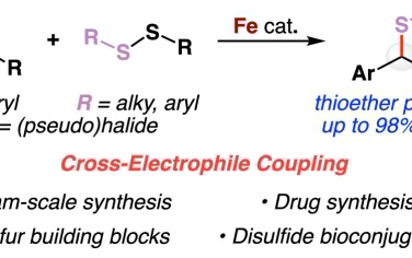 JACS：鐵催化二硫化物和卞鹵交叉偶聯
