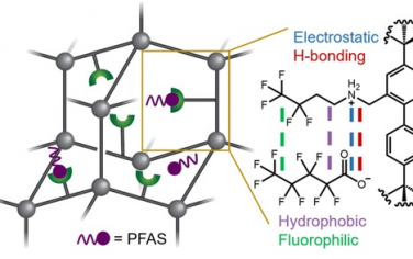JACS：功能化聚合物吸附PFAS氟化物