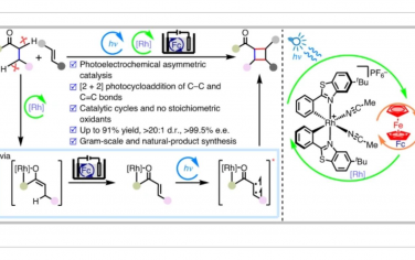 Nature Catalysis：通過激活兩個C（sp3）–H鍵實現光電化學不對稱脫氫[2?+?2]環加成