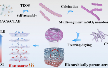 JACS：多節段介孔二氧化硅納米竹的逐步自組裝及其增強的隔熱性能