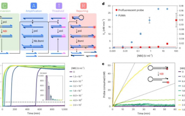 Nature Nanotechnology：可編程分子電路與液滴微流體相結合的單酶功能分析