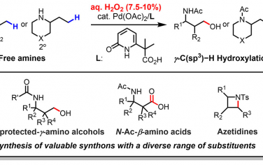 JACS：H2O2溶液對有機胺γ-C(sp3)-H鍵羥基化
