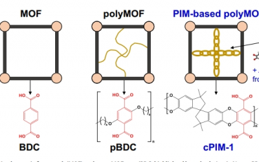 Nat Commun：由本征微孔聚合物配體構建的 PolyMOF 納米粒子用于 CO2 分離的可擴展復合膜
