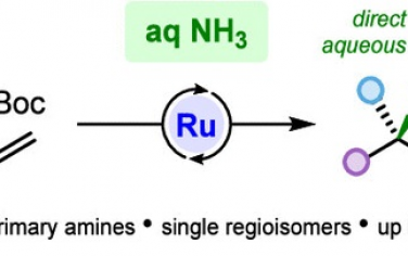 JACS：氨溶液用于Ru催化烯丙基取代