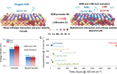 Sci. Adv.：MoZn 基高熵合金催化劑在堿性析氧中實現雙重活化和穩定