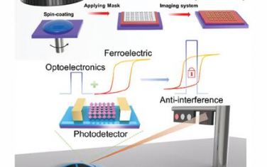 AFM：用于鐵電偏振調(diào)制抗干擾視覺系統(tǒng)的2D鈣鈦礦/PVDF TrFE光電探測(cè)器
