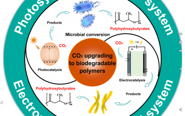 東華大學Angew綜述：光-電生物復合將CO2轉化為生物降解塑料